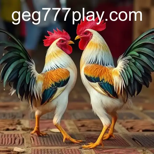 Sabong Online: The Revolution of geg777.com in Digital Cockfighting